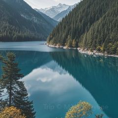 自選王大食堂張用戶圖片