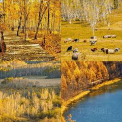 Manda Sheng Yuan Xiang chafing  dish User Photo