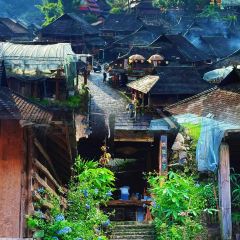 申记臭豆腐煮鱼(五一步行街店) User Photo