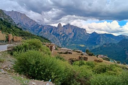 迭部扎尕那格桑梅朵民宿·餐厅