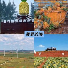 四爹簸箕炊(步行街店) User Photo