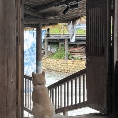 黄果树云端石头寨民宿·餐厅 User Photo