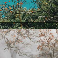 拾光餐集(东壁村店) User Photo