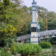 Weiweimushugeng User Photo