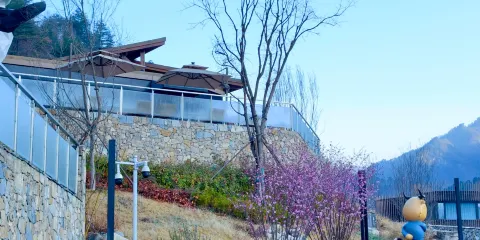 秦嶺金絲猴佛坪救護繁育研究基地