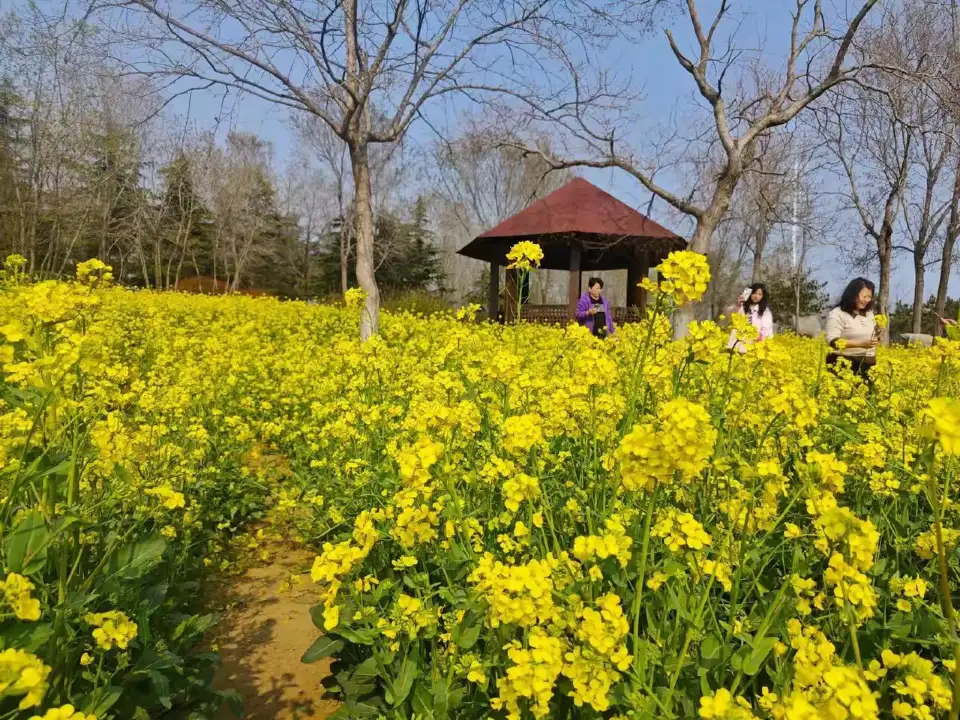 Tempat Wisata di Qingdao