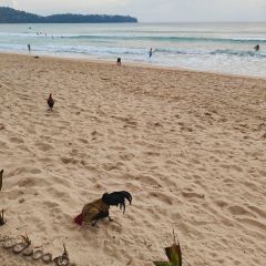 MAYA BEACH CLUB PHUKET User Photo