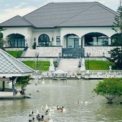 Wild Duck Cafe BKK張用戶圖片