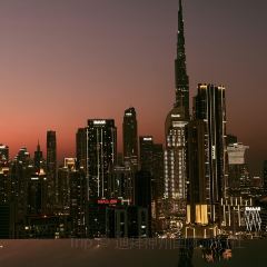 High Society User Photo