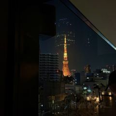 Tokyo Confidential User Photo