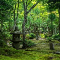 Tamakitei 여행 사진