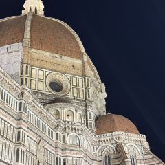 Bao's House Chinese Restaurant Fontana di Trevi User Photo