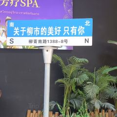 NEW JOYFUL HOTEL·CHINESE RSTAURANT User Photo