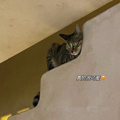 那白厝NABAICUO生日蛋糕定制(台江店) User Photo