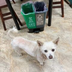 天台山小吃(工人东路店) 여행 사진