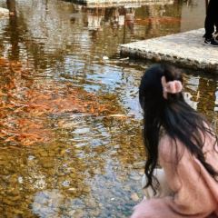 深林之梦·咖啡 User Photo