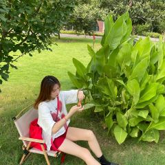 时令花开-皂角原宴园餐厅 User Photo
