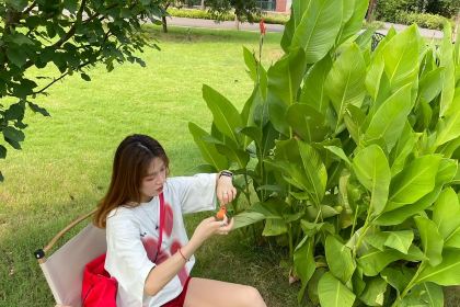 时令花开-皂角原宴园餐厅