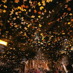 The Iron Fairies Hong Kong User Photo