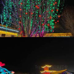 天佑德不夜城 User Photo