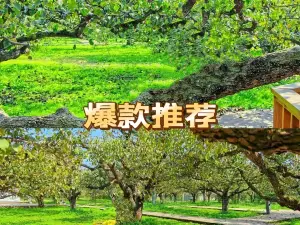 Dangshan Ancient City