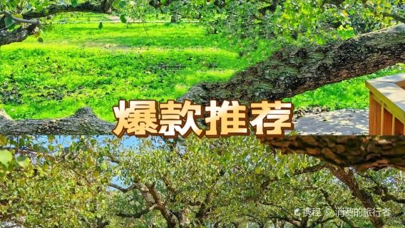 Dangshan Ancient City