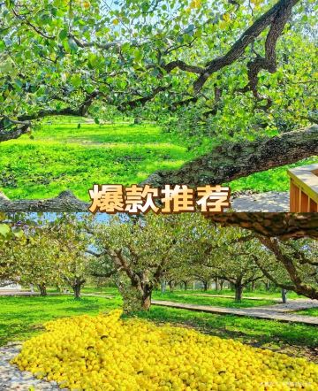 Dangshan Ancient City