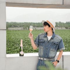 酩悦轩尼诗夏桐酒庄 User Photo