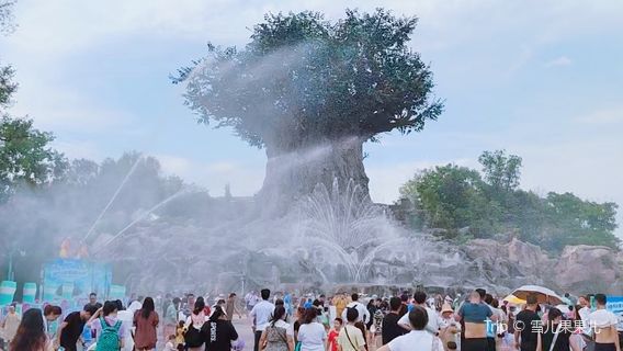 Yinji Animal Kingdom - Fountain