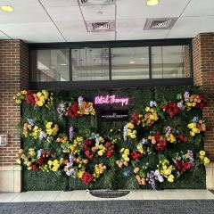 Shake Shack Woodbury Commons User Photo