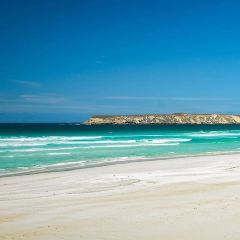 1802 Oyster Bar - Coffin Bay User Photo