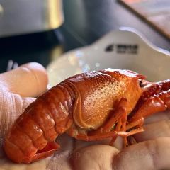 Yonghegong Restaurant (canyinbu) User Photo