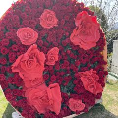 Sanshi Restaurant User Photo