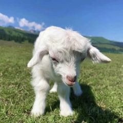 可爱的那拉提 User Photo
