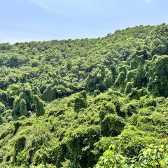 红岩多多 User Photo