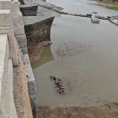 悅玲瓏·西關茗點張用戶圖片