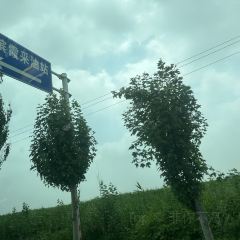 王記骨頭館張用戶圖片