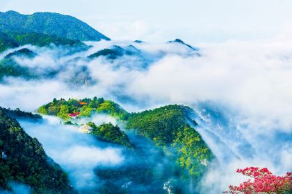 老南昌白糖糕(大士院店)