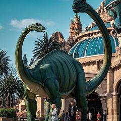 唐宴（青果巷店）張用戶圖片