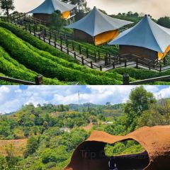 申记臭豆腐煮鱼(五一步行街店) User Photo