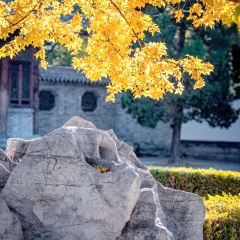 老街印象張用戶圖片