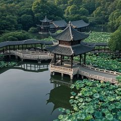 JIANGNAN Impression Chinese Restaurant User Photo