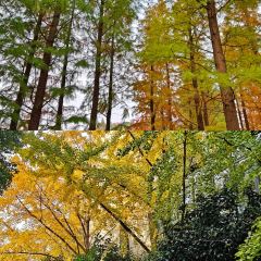 铁锅年代(天台店) User Photo