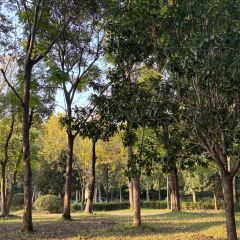 田小狗的饭店(碧桂园店) User Photo