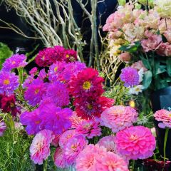 Aoyama Flower Market Green House User Photo