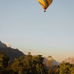 PullMind​ Cafe張用戶圖片