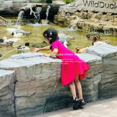 Wild Duck Cafe BKK張用戶圖片