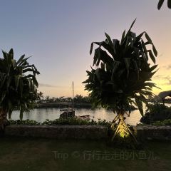 The Boatshed Restaurant ảnh của người dùng