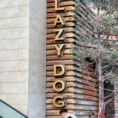 Lazy Dog Restaurant & Bar User Photo