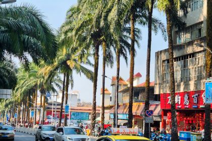 芒市秀华建水菊花过桥米线店